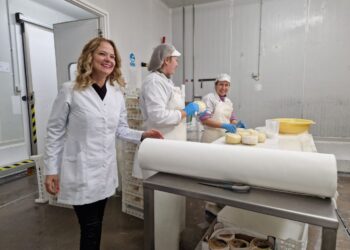 Com 25 anos de existência, Queijaria Estrela Artesanal em Lagares da Beira é hoje um sinónimo de qualidade e inovação na produção do queijo de ovelha e queijo DOP Serra da Estrela