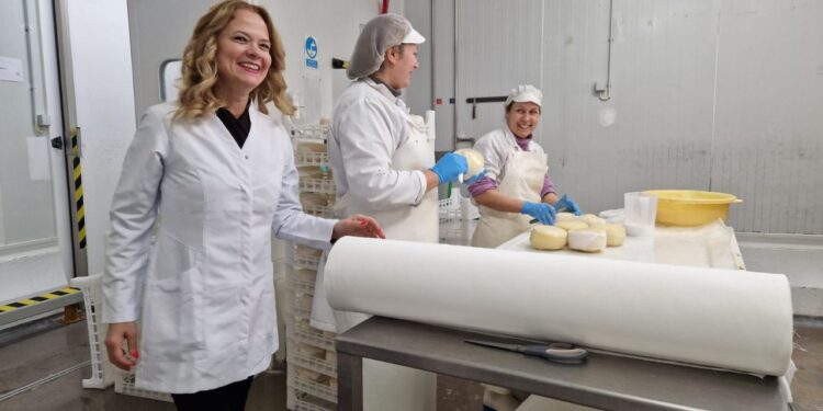 Com 25 anos de existência, Queijaria Estrela Artesanal em Lagares da Beira é hoje um sinónimo de qualidade e inovação na produção do queijo de ovelha e queijo DOP Serra da Estrela