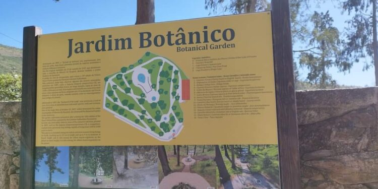 Jardins do Santuário de Nossa Senhora das Preces renascem das cinzas