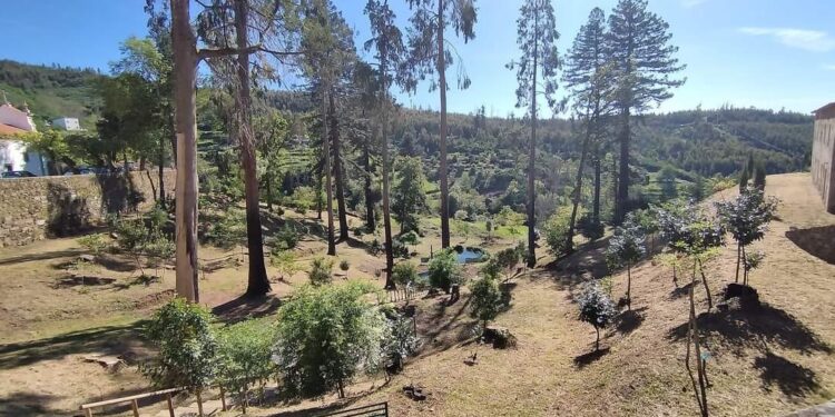 Jardins do Santuário de Nossa Senhora das Preces renascem das cinzas