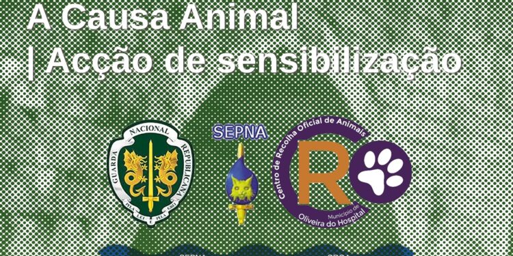 Ciclo de Conferências INteriorizar está de regresso a Alvoco das Várzeas
