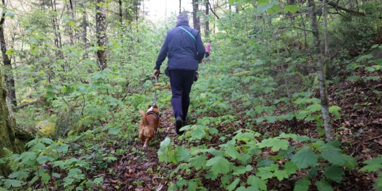 Município organiza Caniltrail na Sra. do Desterro
