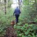 Município organiza Caniltrail na Sra. do Desterro
