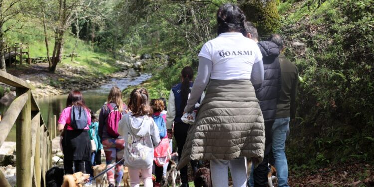 Município organiza Caniltrail na Sra. do Desterro
