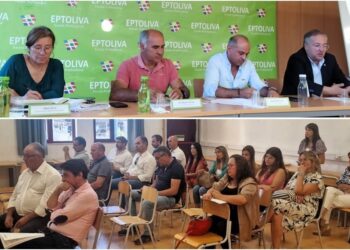 Assembleia Geral unânime no reconhecimento à excelente gestão da Adeptoliva