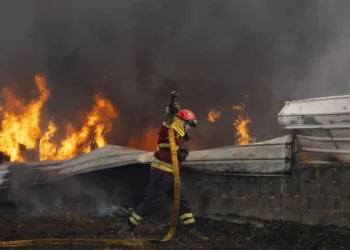 INCÊNDIOS RURAIS – Levantamento de danos e prejuízos