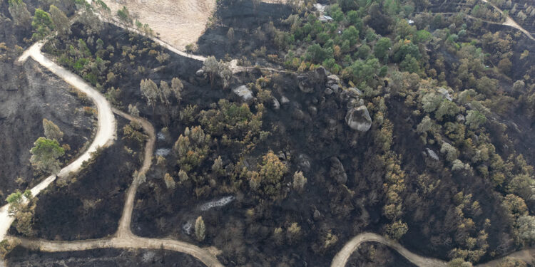 Cidadãos afetados pelo incêndio deverão reportar prejuízos no Município de Tábua até 1 de Outubro
