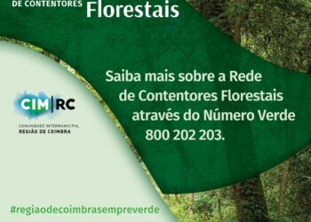 Região de Coimbra implementa rede de contentores para uma ”gestão sustentável dos resíduos agrícolas e florestais”