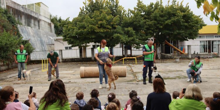 Vozes pelos Animais: Um dia de ”aventura e solidariedade” na Quinta da Nogueira