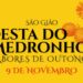 São Gião acolhe primeira Festa do Medronho no próximo sábado