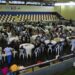 Seniores celebram o Natal à mesa durante encontro da Rede Social