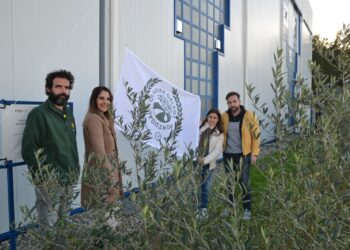 BLC3 hasteou bandeira “Oliveira Galega: Portugal” no Dia Mundial da Oliveira