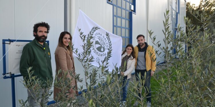 BLC3 hasteou bandeira “Oliveira Galega: Portugal” no Dia Mundial da Oliveira