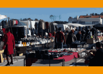 Tábua acolhe Feira de São Martinho 2024 este domingo