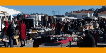 Tábua acolhe Feira de São Martinho 2024 este domingo