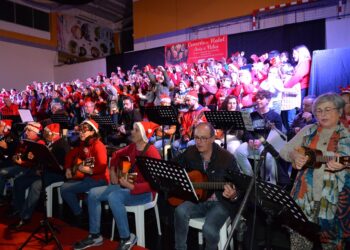 Concerto de Natal “Avós e Netos” é já este sábado em Oliveira do Hospital
