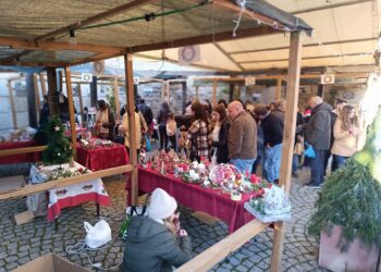 Seixo da Beira: Mercadinho de Natal, animação de rua e concerto com “enorme adesão” no passado domingo