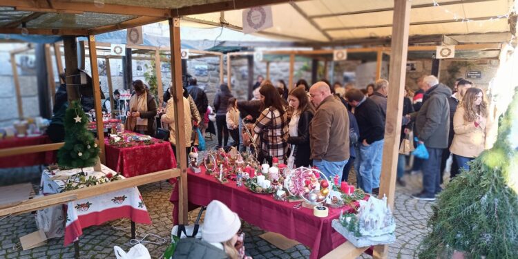 Seixo da Beira: Mercadinho de Natal, animação de rua e concerto com “enorme adesão” no passado domingo