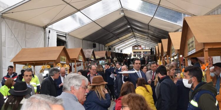 Seia celebra tradição e sabores na Feira do Queijo Serra da Estrela
