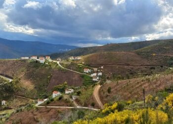 Município de Oliveira do Hospital reforça investimento em Condomínios de Aldeia para travar incêndios florestais