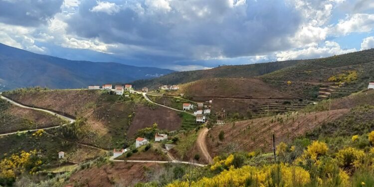 Município de Oliveira do Hospital reforça investimento em Condomínios de Aldeia para travar incêndios florestais