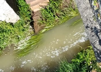 Meruge denuncia novo “crime”: “O Rio Cobral corre branco de poluição!”