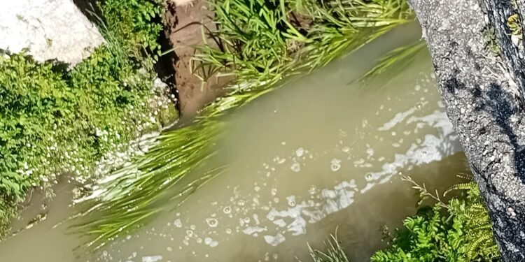 Meruge denuncia novo “crime”: “O Rio Cobral corre branco de poluição!”