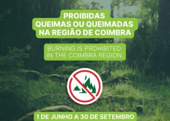 Região de Coimbra proíbe queimas e queimadas durante período crítico