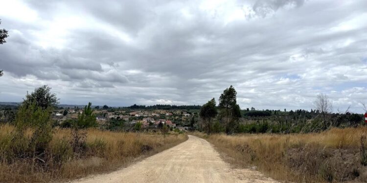 Oliveira do Hospital investe na requalificação de caminhos florestais