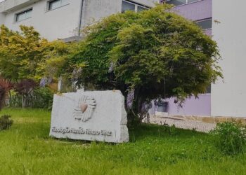 FAAD cria Habitação Multifamiliar Colaborativa e Comunitária para 60 utentes