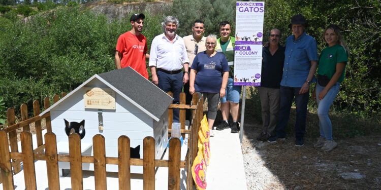 Município continua a instalar abrigos e pontos de alimentação para gatos