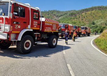 Incêndio em anexo de habitação alastra-se e consome “500 metros quadrados de mato”