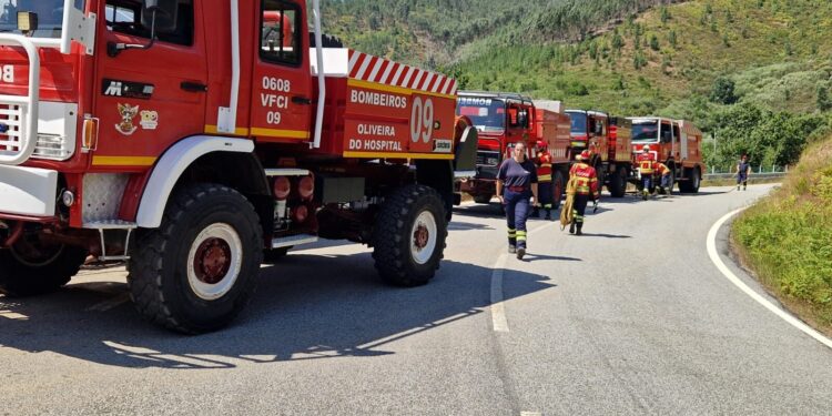 Incêndio em anexo de habitação alastra-se e consome “500 metros quadrados de mato”
