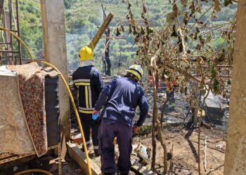 Incêndio em anexo de habitação alastra-se e consome “500 metros quadrados de mato”