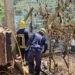 Incêndio em anexo de habitação alastra-se e consome “500 metros quadrados de mato”
