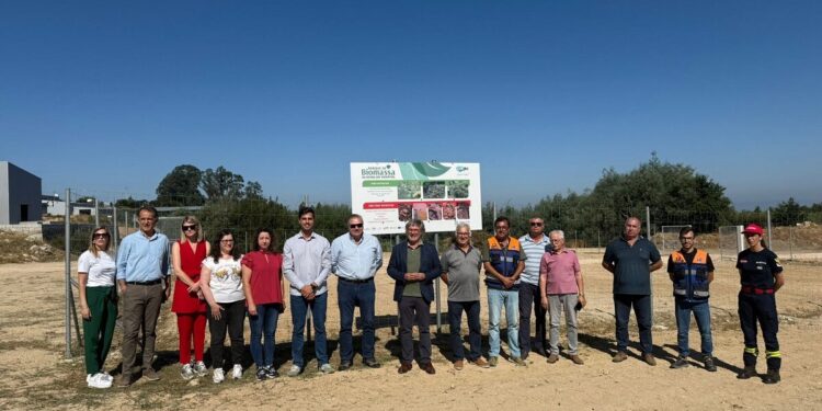 Parque de Recolha de Biomassa pronto para receber sobrantes agro-florestais