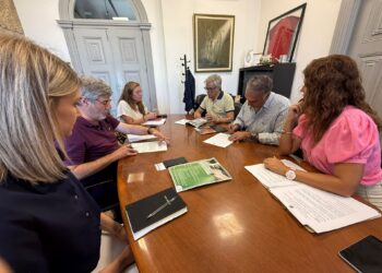 Investimento municipal moderniza paragens de transportes públicos