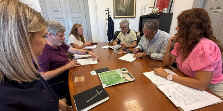 Investimento municipal moderniza paragens de transportes públicos