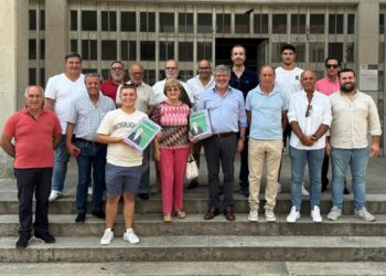 PS apresenta candidaturas em 16 freguesias. Conheça os candidatos