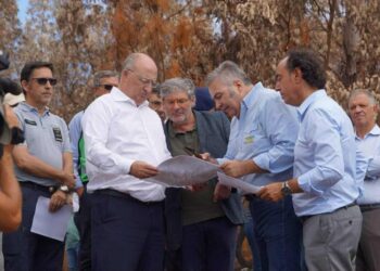 Ministro da Agricultura quer apostar na pastorícia para prevenir fogos