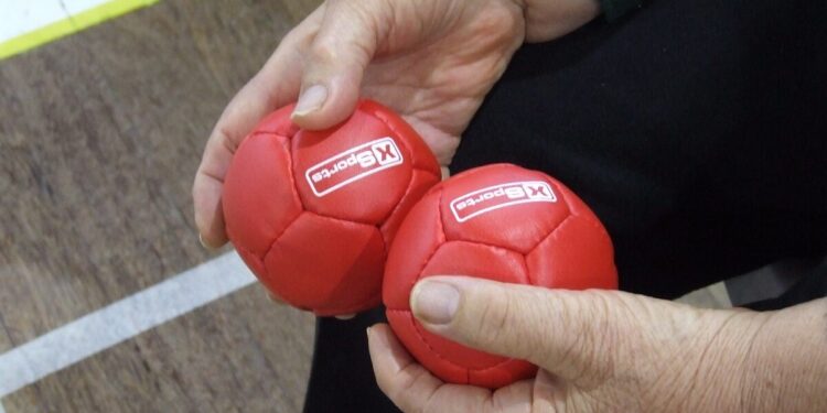 Oliveira do Hospital promove Encontro Municipal de Boccia Sénior