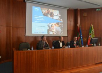 Região de Coimbra tem incentivos até 25 mil euros para micro e pequenas empresas na área do comércio e serviços