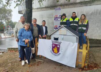 Município instala mais abrigos e pontos de alimentação para gatos