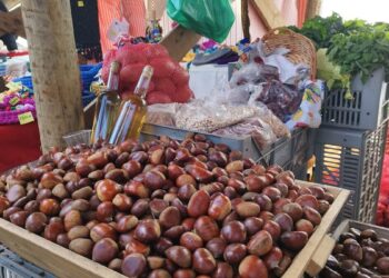 Festa da Castanha celebra tradições e sabores em Aldeia das Dez
