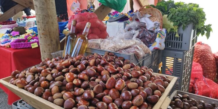 Festa da Castanha celebra tradições e sabores em Aldeia das Dez