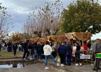 Feira de S. Martinho decorre este sábado na Escola Básica da Cordinha