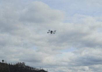 Drones espalham sementes para recuperar área ardida em Oliveira do Hospital