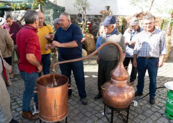 Junta de Freguesia de São Gião volta a dinamizar Festa do Medronho | Sabores de Outono