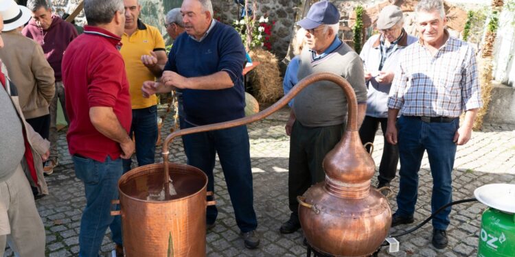 Junta de Freguesia de São Gião volta a dinamizar Festa do Medronho | Sabores de Outono