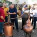 Junta de Freguesia de São Gião volta a dinamizar Festa do Medronho | Sabores de Outono